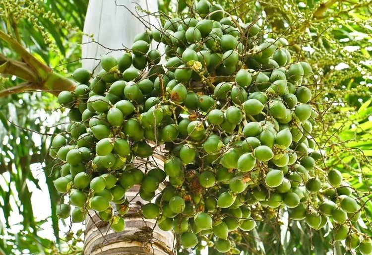 a3e0dbffa4090a141b80651e4b4a87e4