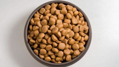 貓糧風味劑的生產(chǎn)如何選擇酶制劑？