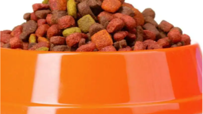 酶解法水解雞肝寵物誘食劑用什么酶好？