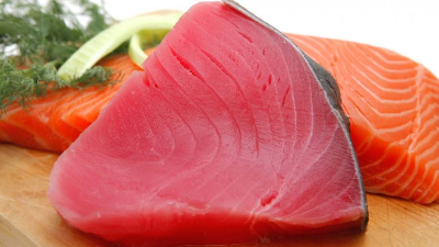 如何酶解金槍魚提高寵物貓糧誘食劑風味性？