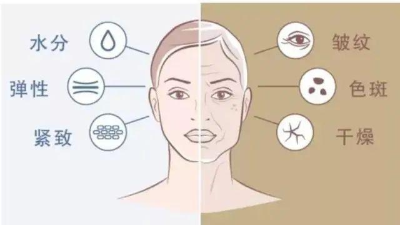 酶解鱈魚(yú)皮制備膠原蛋白的影響因素有哪些？