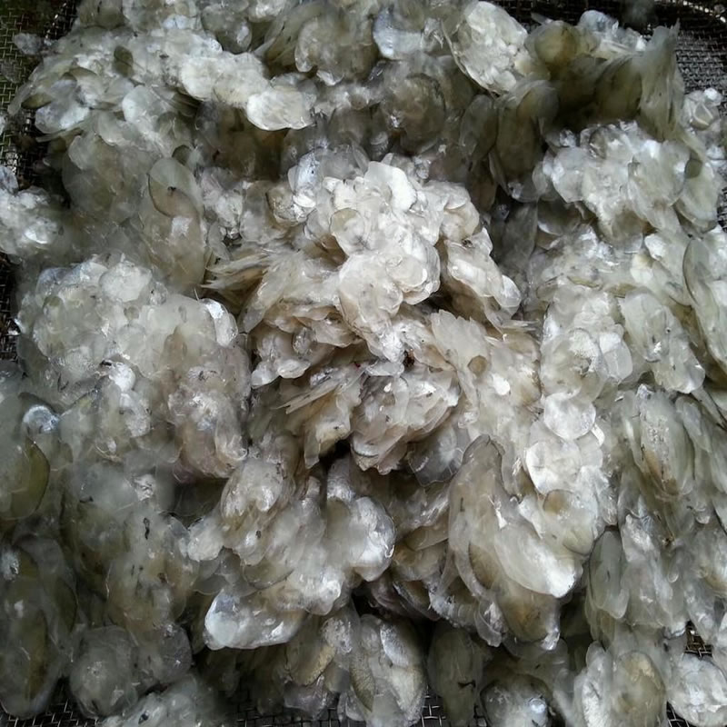 魚(yú)鱗制備膠原蛋白肽