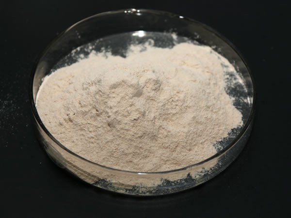 肉類(lèi)蛋白水解酶（豬牛雞肉水解，肉膏咸味香精生產(chǎn)）