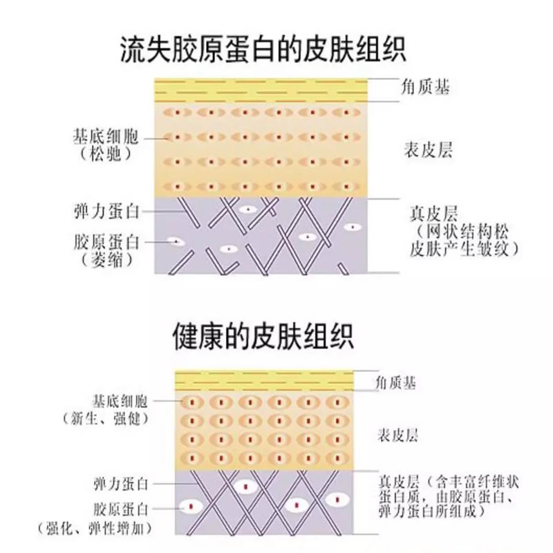 美容護(hù)膚品