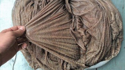 鹽漬毛肚及鮮毛肚怎么處理才脆？