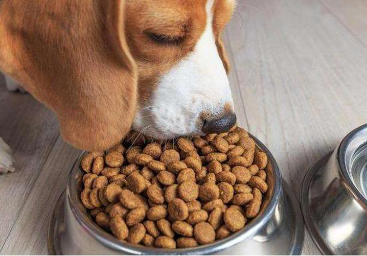 0b7ecf7ae590507ea113316931efbcd3