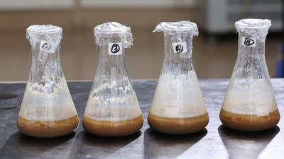 水解雞肝生產(chǎn)寵物風(fēng)味劑，用木瓜蛋白酶還是堿性蛋白酶