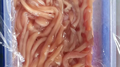 鴨腸怎么做才又脆又嫩？怎么煮才不會卷?