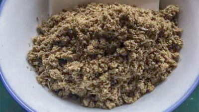 酶解復(fù)配技術(shù)，協(xié)同提升魚(yú)粉消化吸收率