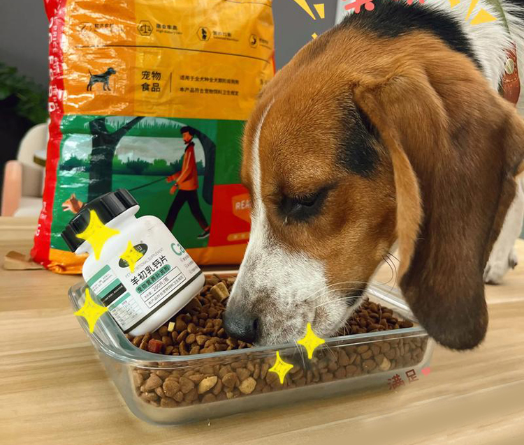 9ab784873ce46ab91736e4b9ace60f68