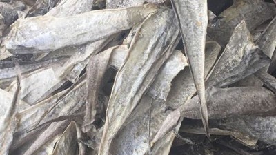 水解魚皮做膠原蛋白肽有苦味，風(fēng)味酶能去除苦味嗎？