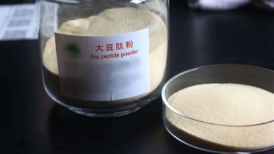 生產(chǎn)大豆低聚肽與多肽會(huì)用到哪些酶制劑？