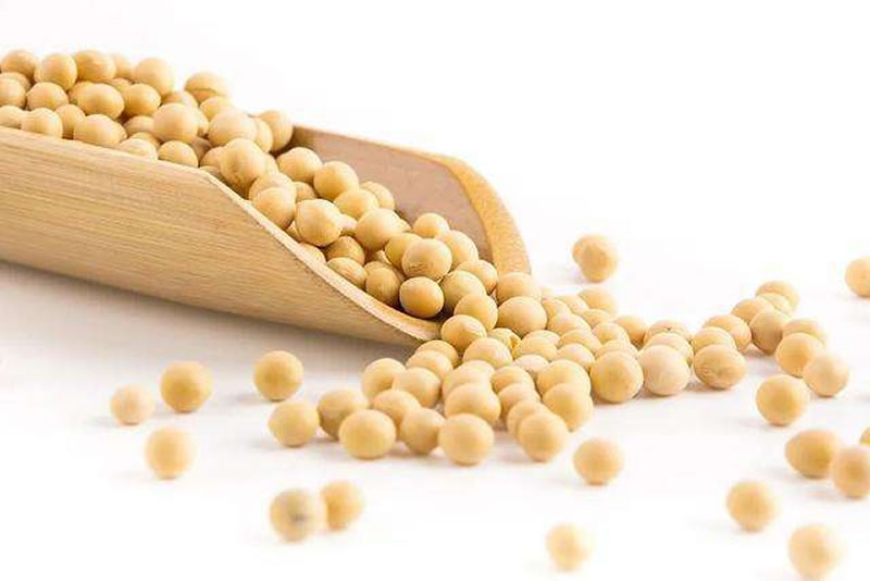 大豆酶解產(chǎn)物