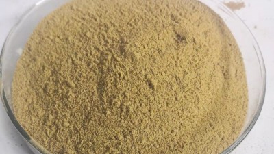 堿性蛋白酶如何酶解魚粉生產(chǎn)水產(chǎn)誘食劑？