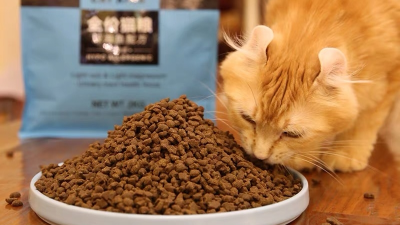 如何酶解雞肝粉提高貓糧誘食劑誘食性？