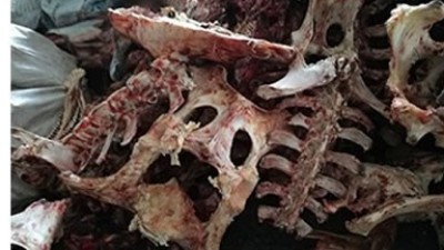 牛骨、豬骨蛋白胨生產(chǎn)，適合的酶制劑有哪些呢？